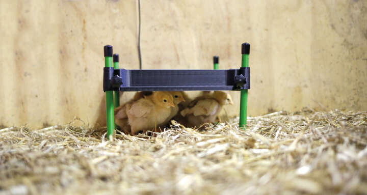 KERBL Wärmeplatte CosyHeat mit integriertem Thermostat